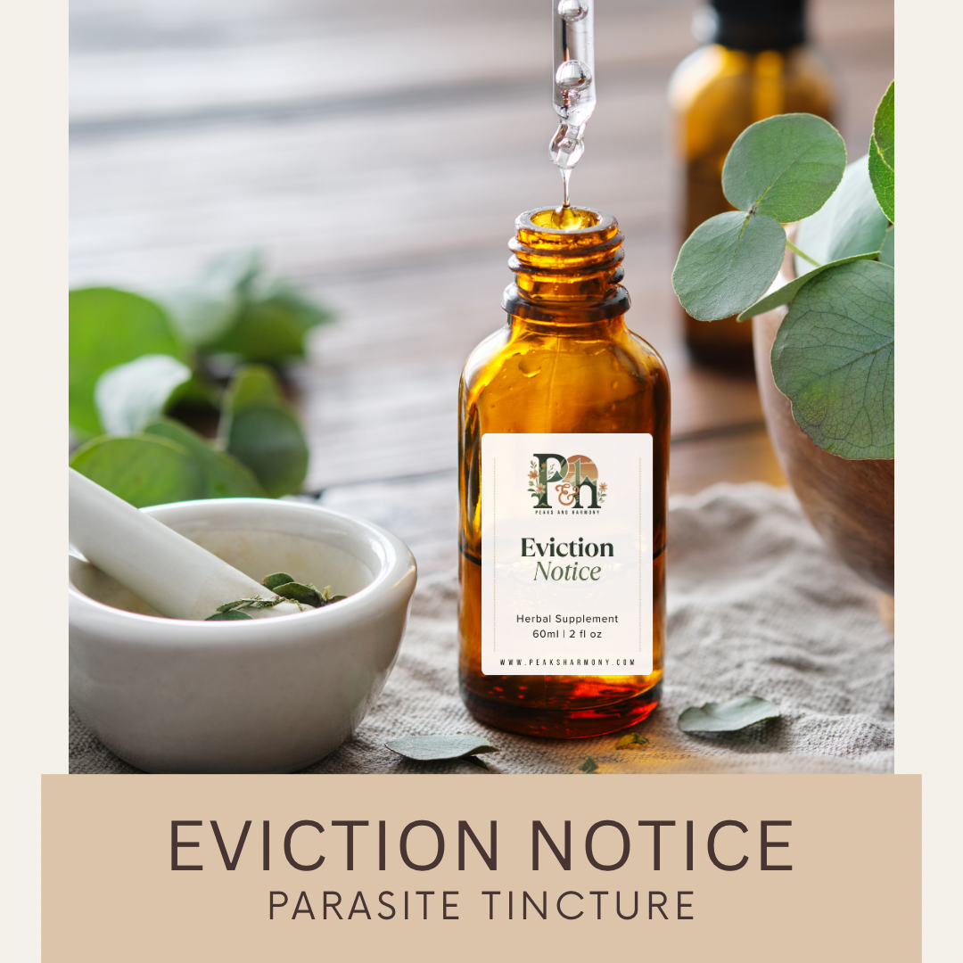 Eviction Notice