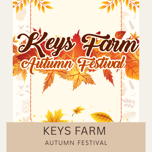 Keys Farm Autumn Festival