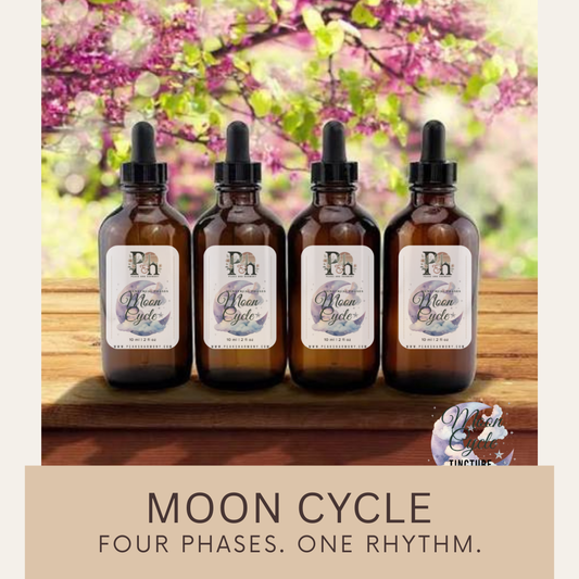Moon Cycle