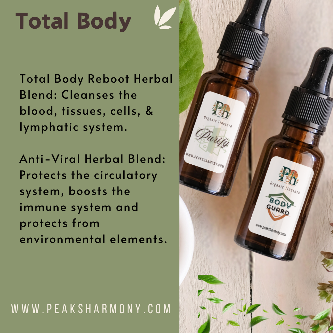 Total Body Bundle